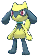 Riolu