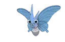 Venomoth