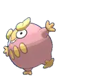 Darumaka