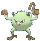 Mankey