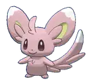 Minccino