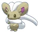 Cinccino