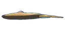 Stunfisk