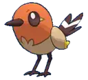 Fletchling