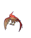 Talonflame