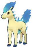 Ponyta