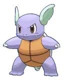 Wartortle
