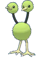 Doduo