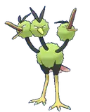 Dodrio