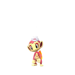 Chimchar — Gems 2 2021