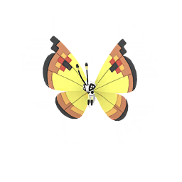 Vivillon — Continental