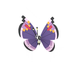 Vivillon — Elegant