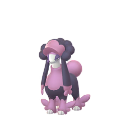Furfrou — Matron