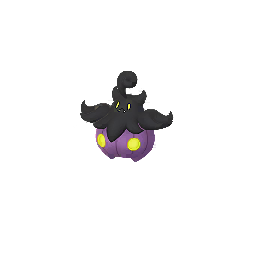 Pumpkaboo — Small (2)