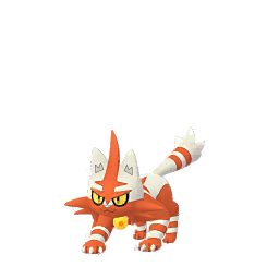 Torracat